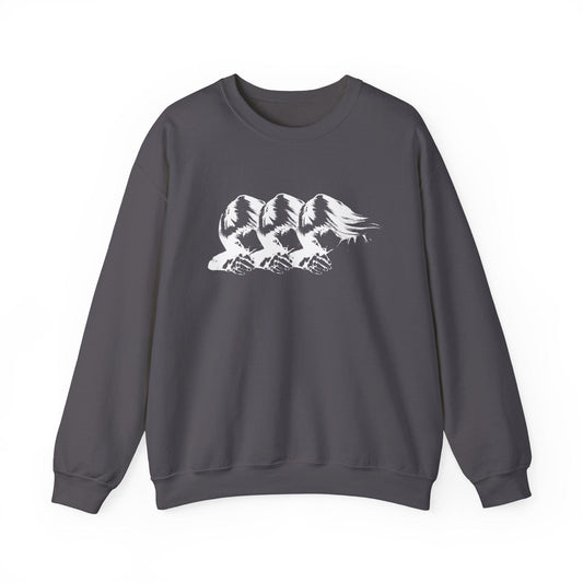 Three Janes | charcoal crewneck sweatshirt